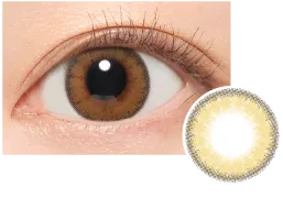 New LATTE