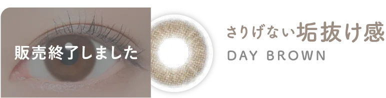 WEB限定　さりげない垢抜け感　DAY BROWN　デイブラウン