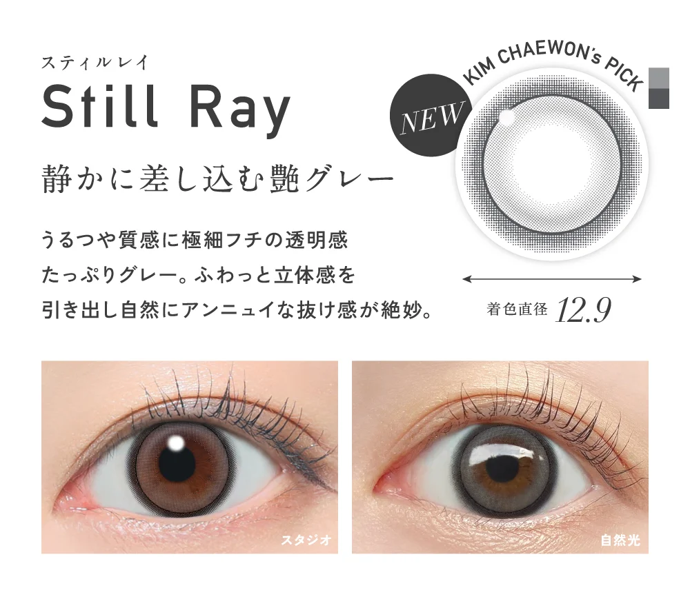 スティルレイ 静かに差し込む艶グレー 着色直径12.9