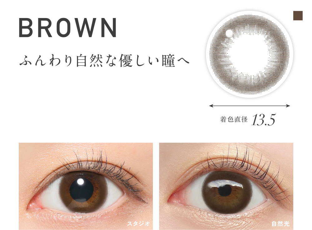ブラウン 着色直径13.5