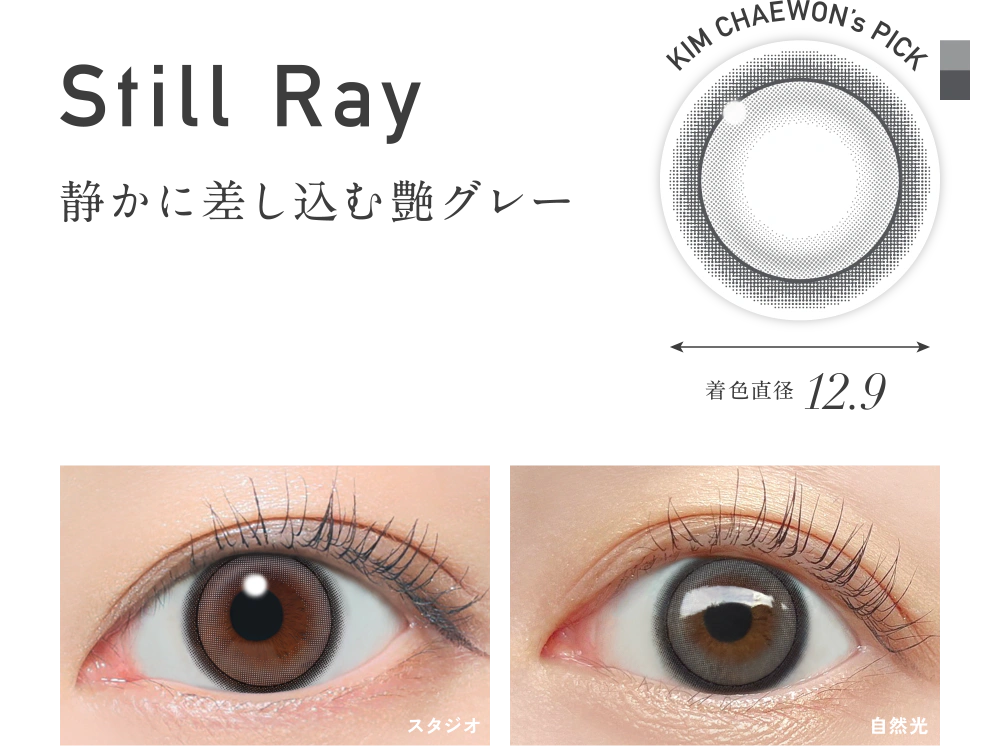 スティルレイ 静かに差し込む艶グレー 着色直径12.9