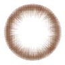 BROWN ブラウン