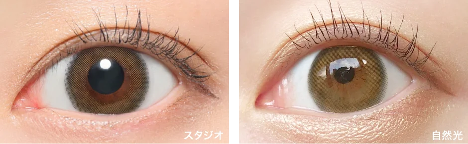 Hailey ヘイリー