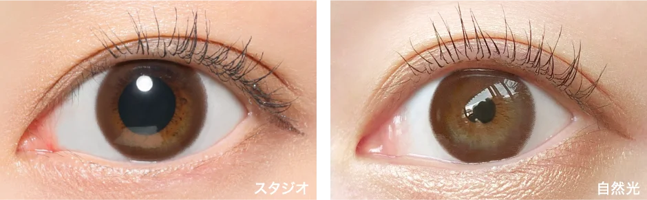 BROWN ブラウン