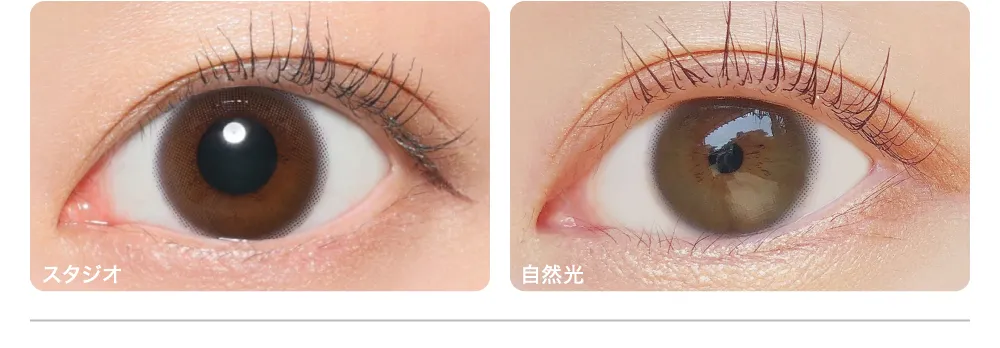 乱視用レンズ MUUSE BROWN ムースブラウン 着用画像