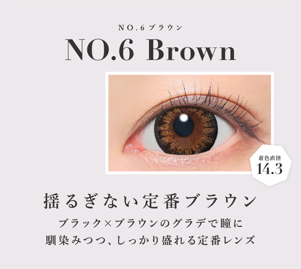 NO.6ブラウン 揺るぎない定番ブラウン