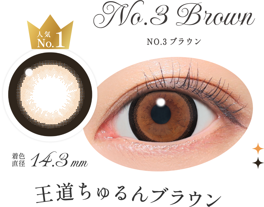 NO.3ブラウン 王道ちゅるんブラウン