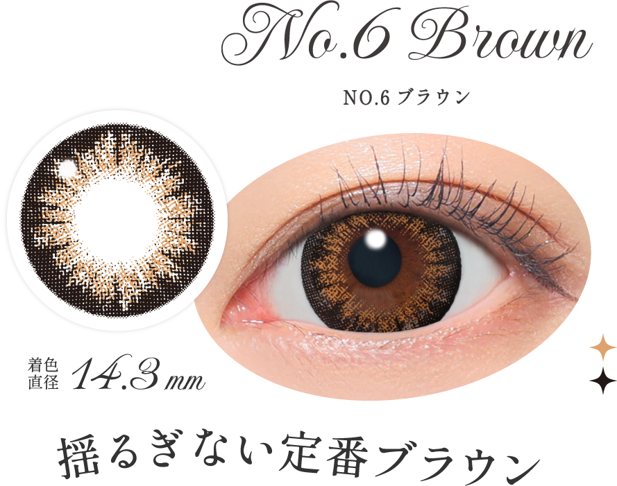 NO.6ブラウン 揺るぎない定番ブラウン