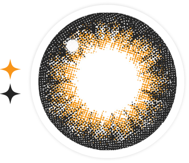 NO.6ブラウン レンズ