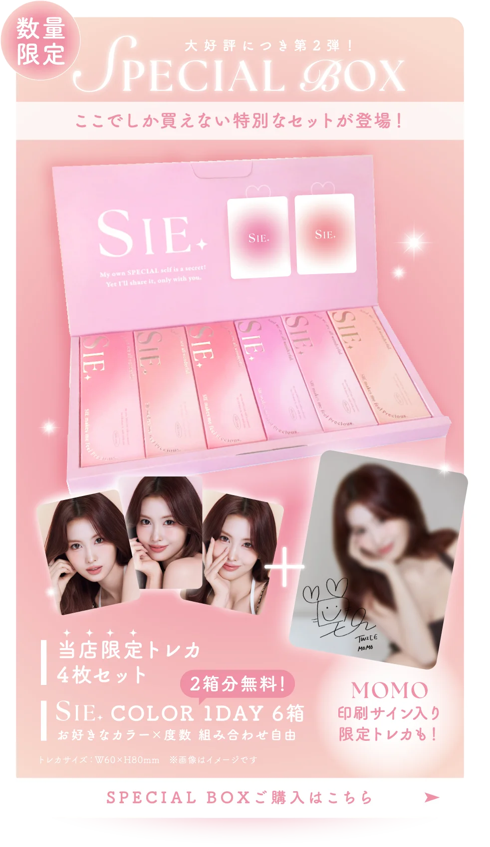 スペシャルボックス ここでしか買えない特別なセットが登場