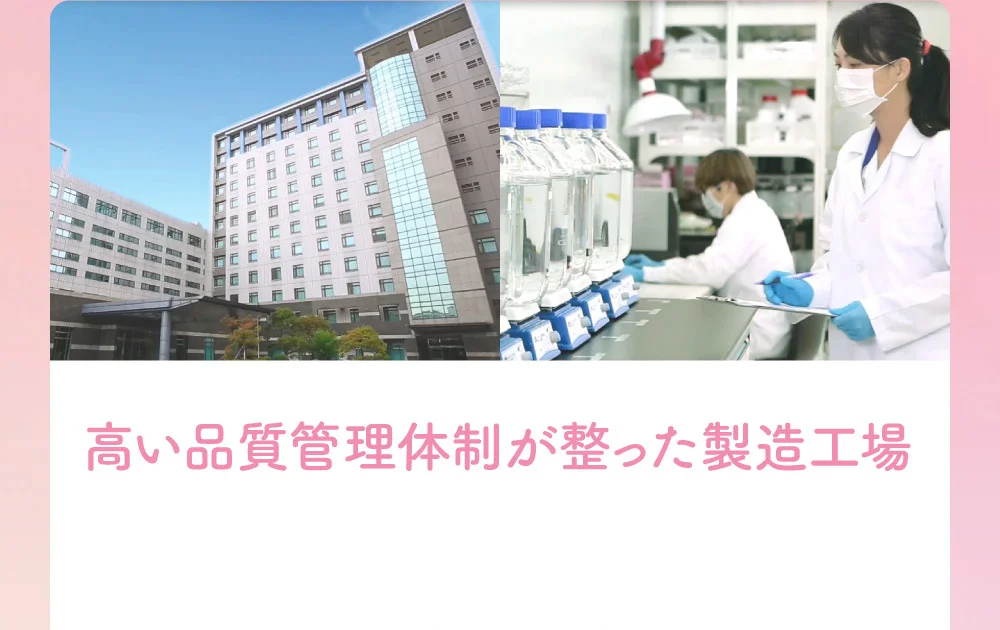 高い品質管理体制が整った製造工場
