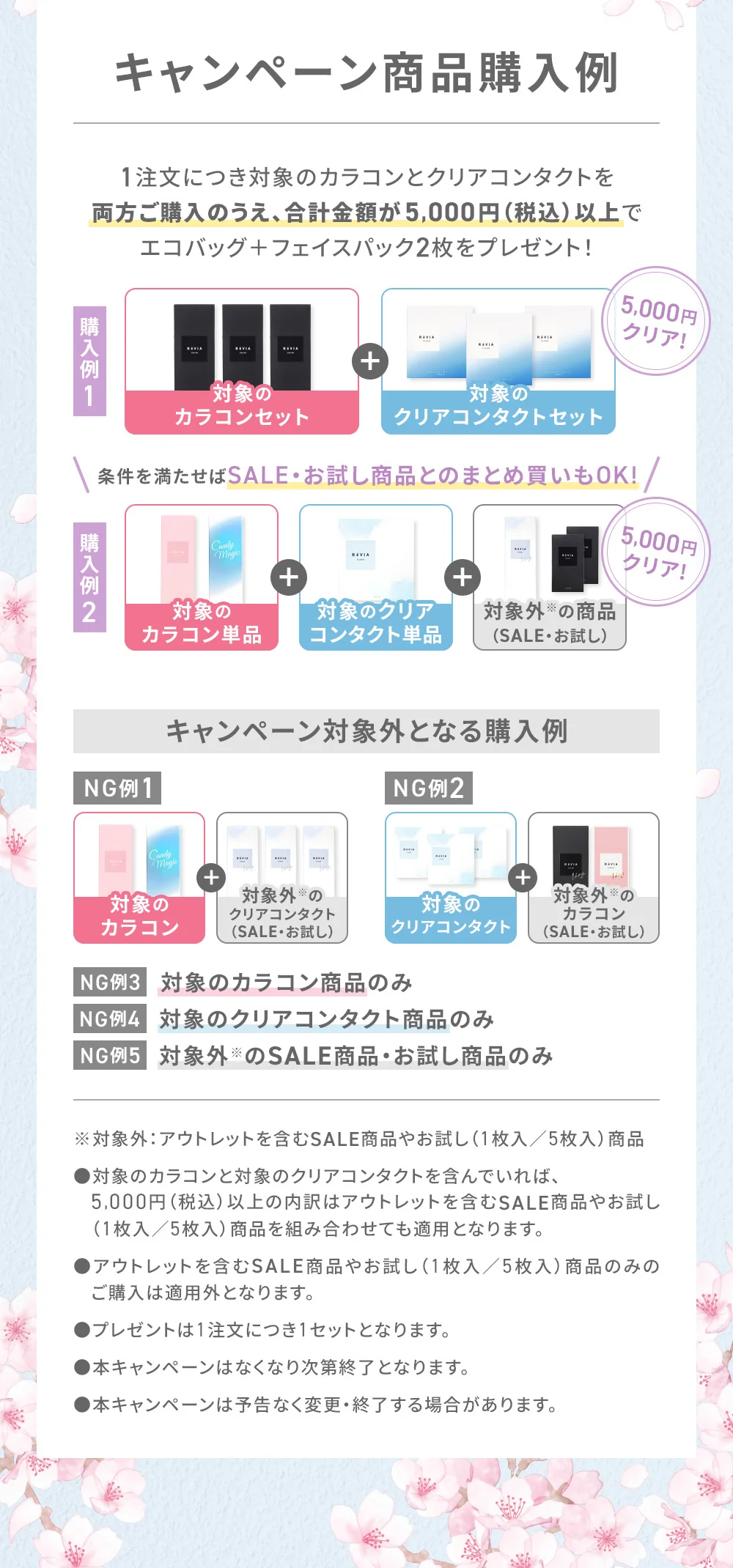 キャンペーン商品購入例