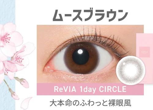 ムースブラウン