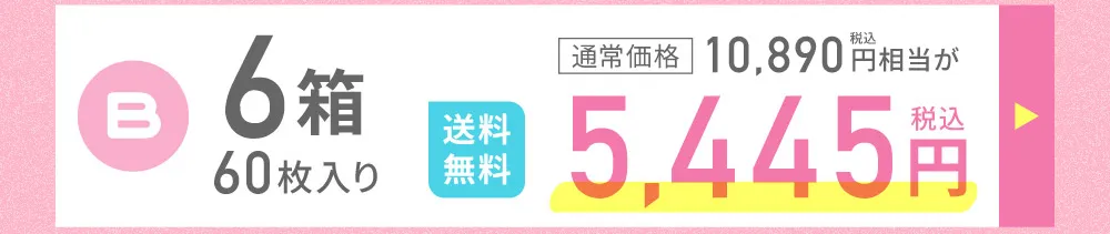 B 6箱 60枚入り
