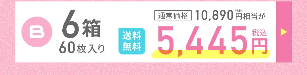 B 6箱 60枚入り