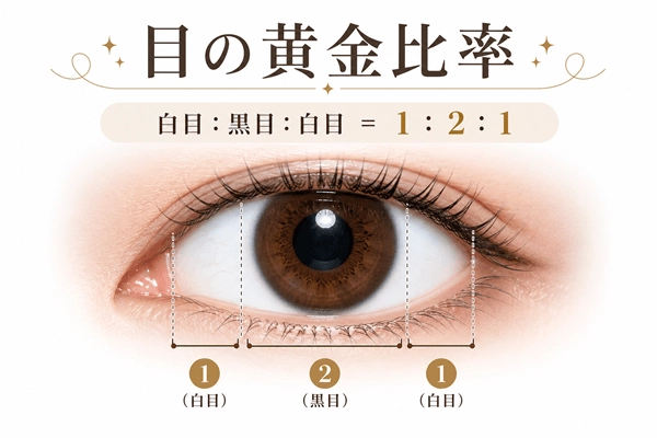 目の黄金比率