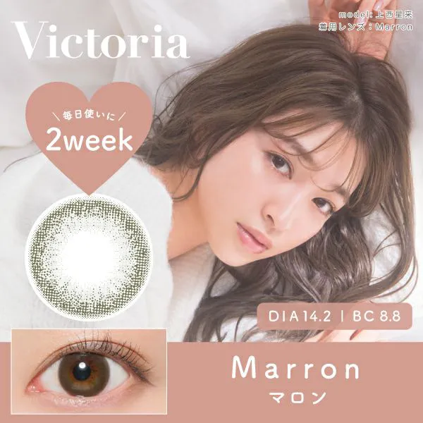 カラコン】Victoria 2week 《マロン》 度あり 度なし 1箱6枚入り