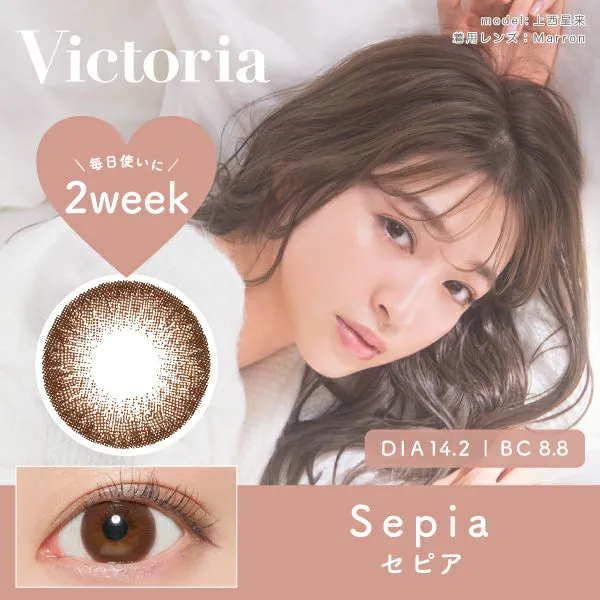 カラコン】Victoria 2week 《セピア》 度あり 度なし 1箱6枚入り