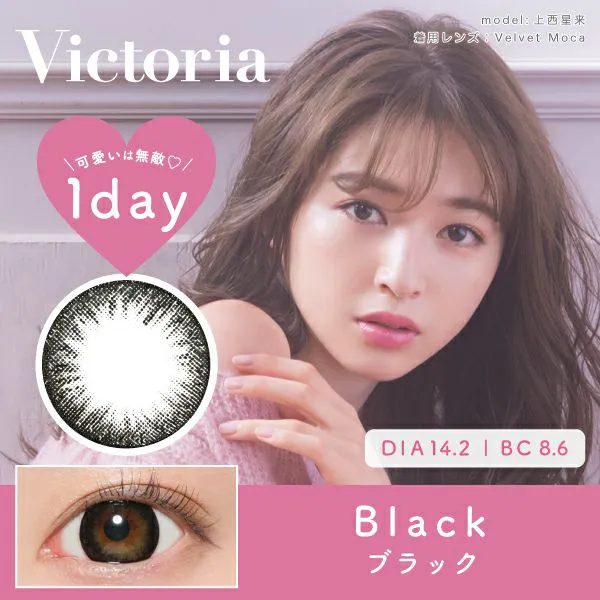 カラコン】Victoria 1day 《ピュアトレンチ》 度あり 度なし 1箱10枚