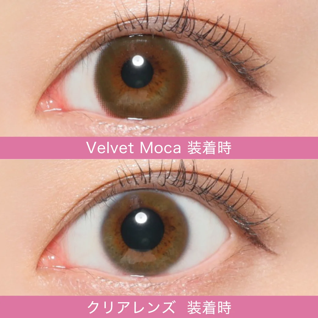 カラコン】Victoria 1day 《ベルベットモカ》 度あり 度なし 1箱10枚