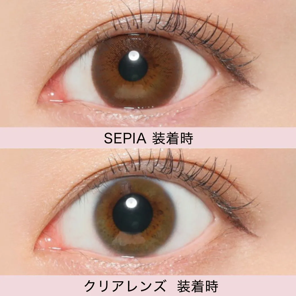 カラコン】Victoria 2week 《セピア》 度あり 度なし 1箱6枚入り