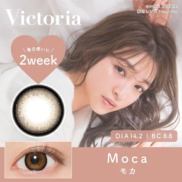 カラコン】Victoria 2week 《マロン》 度あり 度なし 1箱6枚入り