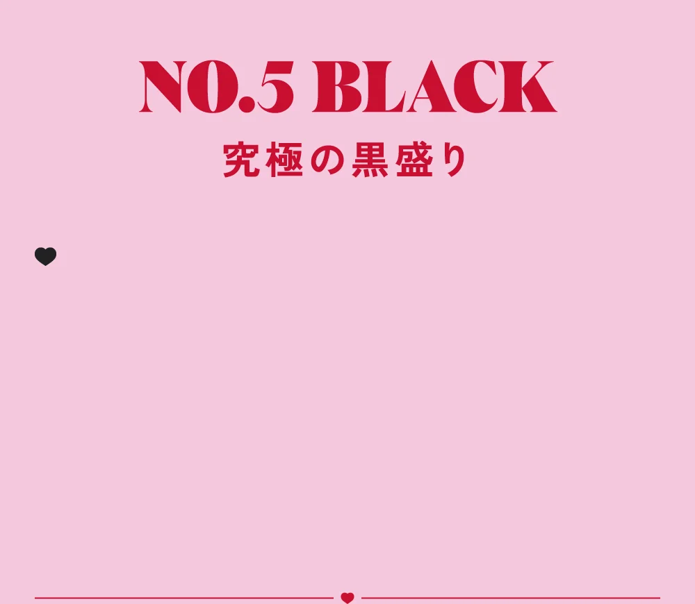 NO.5ブラック 究極の黒盛り