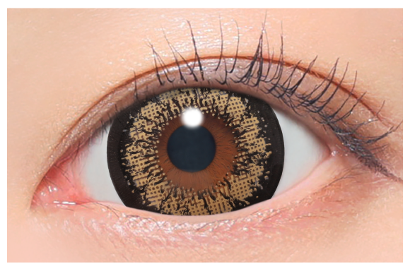 キングブラウン着用画像