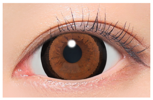 NO.3ブラウン着用画像