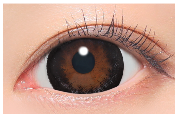 NO.5ブラック着用画像