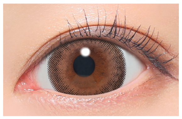 シアーセーブル着用画像