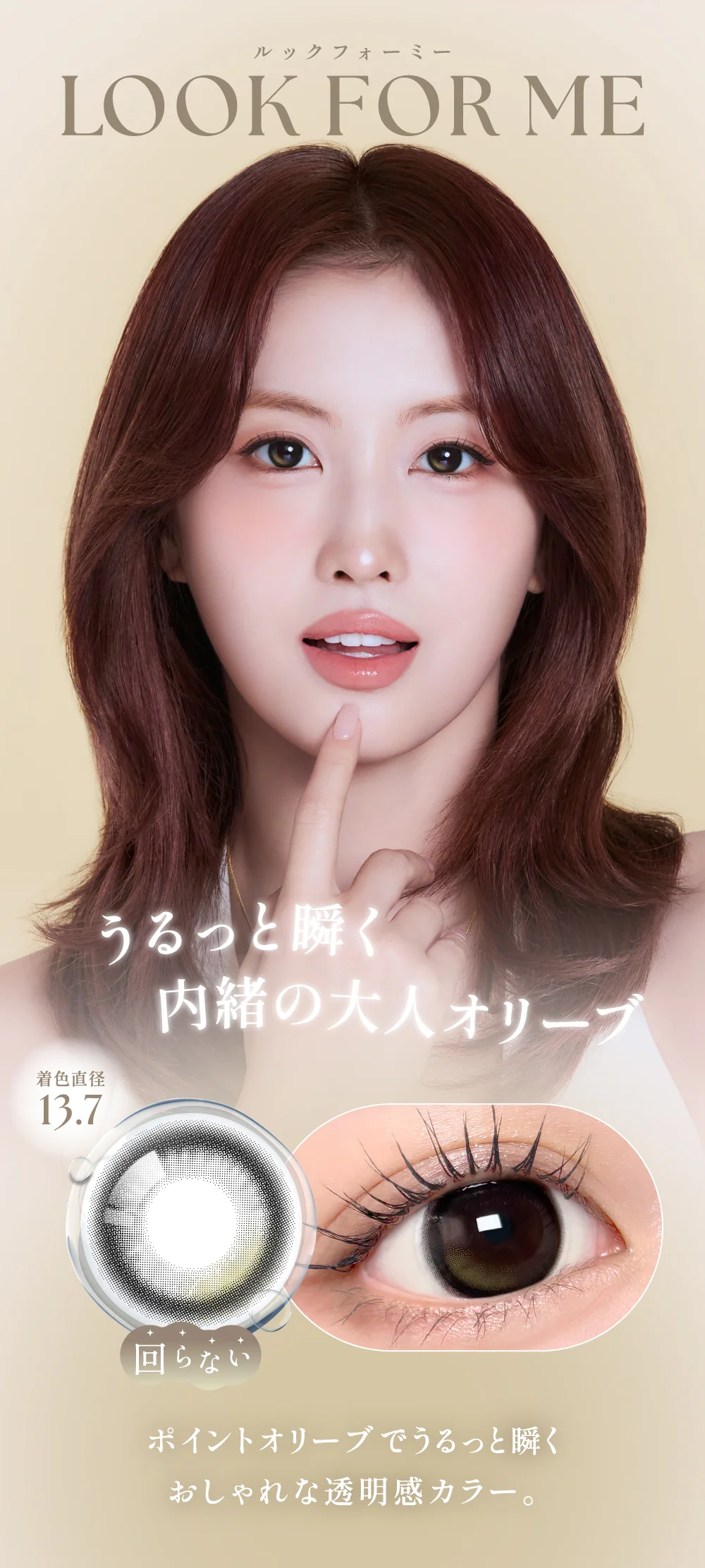 カラコン】【定期便】 SIE. 1day UVカット フチあり 12箱セット1箱10枚