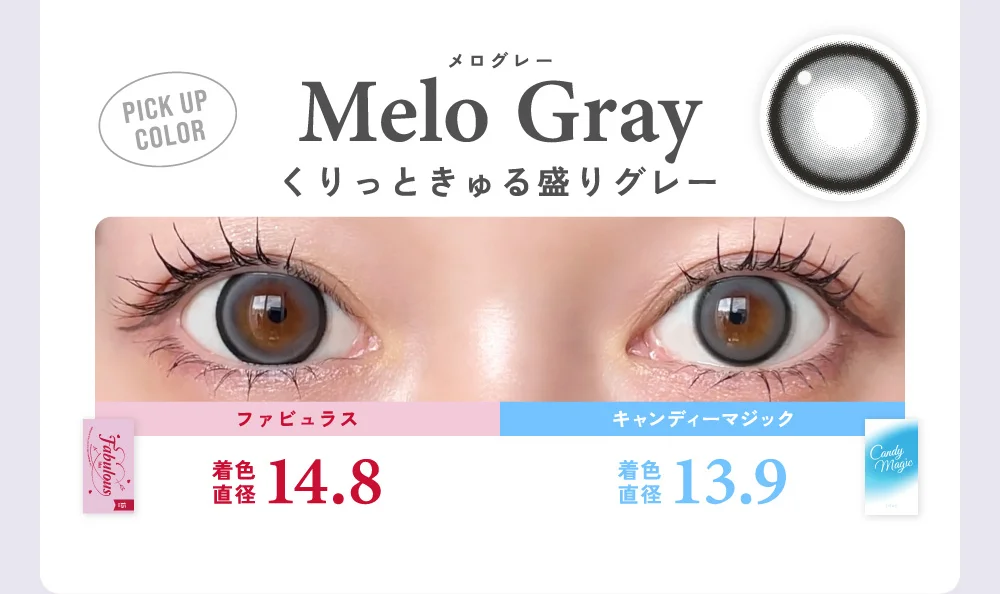 メログレー くりっときゅる盛りグレー