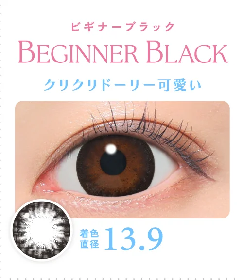 ビギナーブラック クリクリドーリー可愛い