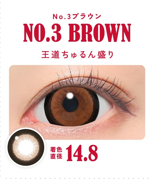 No.3ブラウン 王道ちゅるん盛り