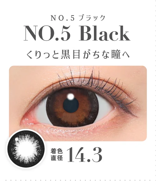 NO.5ブラック くりっと黒目がちな瞳へ