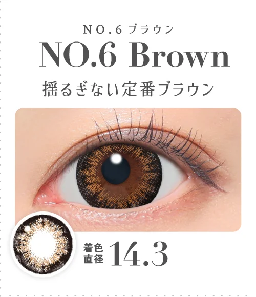 NO.6ブラウン 揺るぎない定番ブラウン